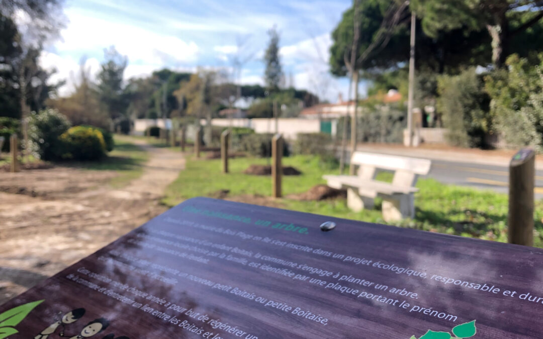 Au Bois-Plage, les naissances prennent racines