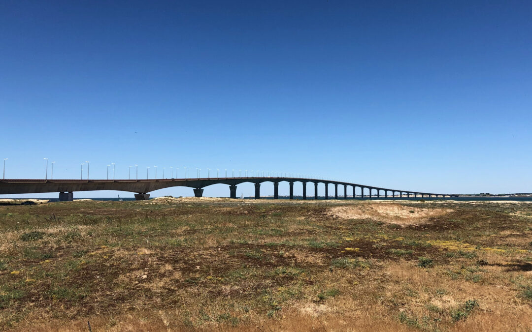 Des nouvelles du pont