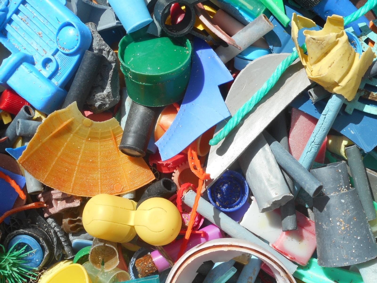 Le tour de l'île de ré en ramassage des déchets brunch-ile-de-re