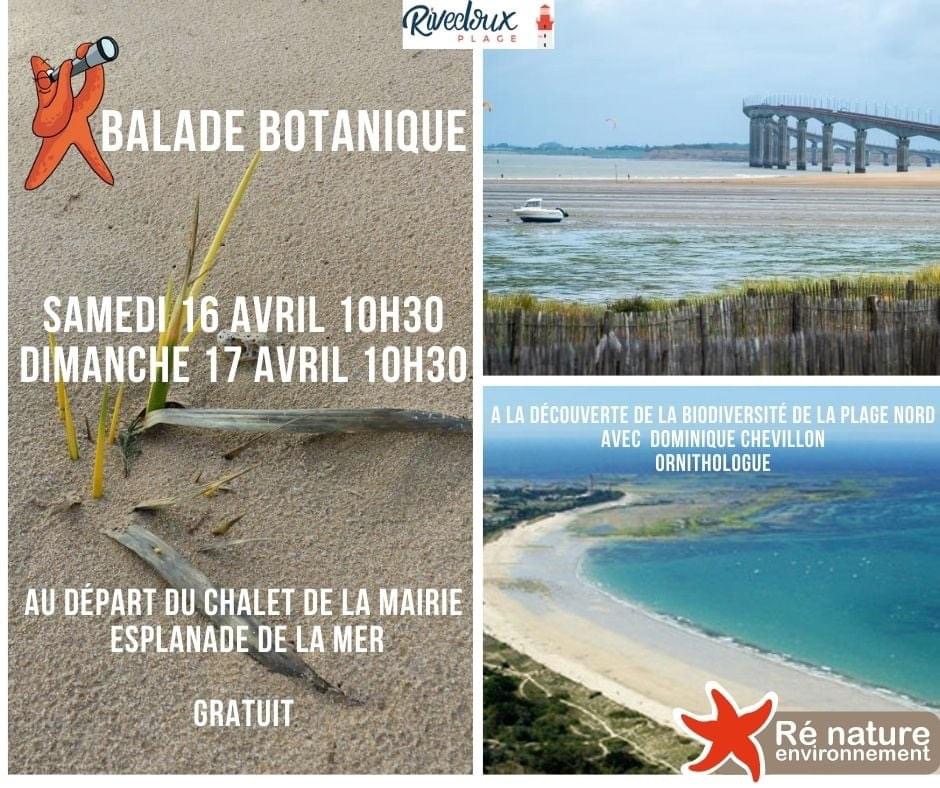 Balade Botanic brunch-ile-de-re