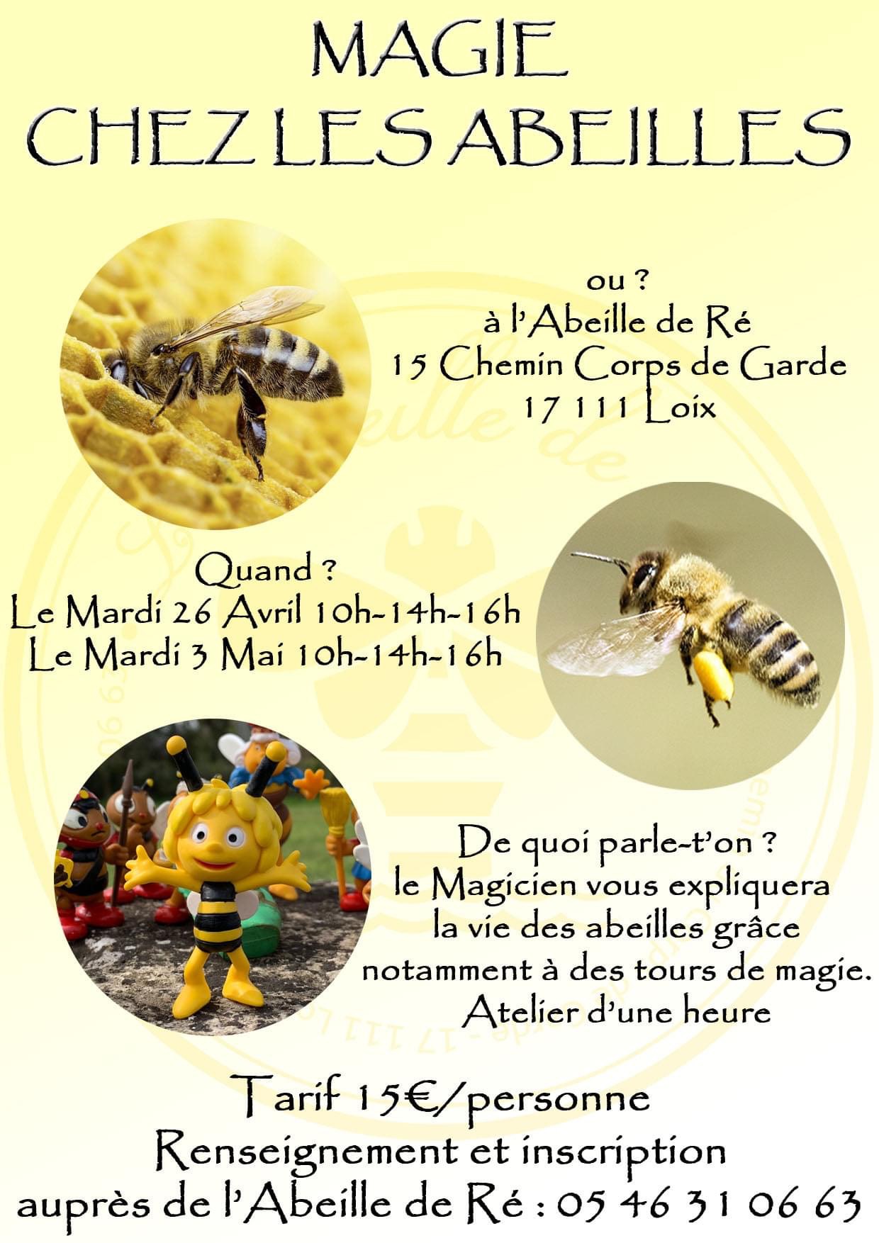 Magie chez les abeilles brunch-ile-de-re