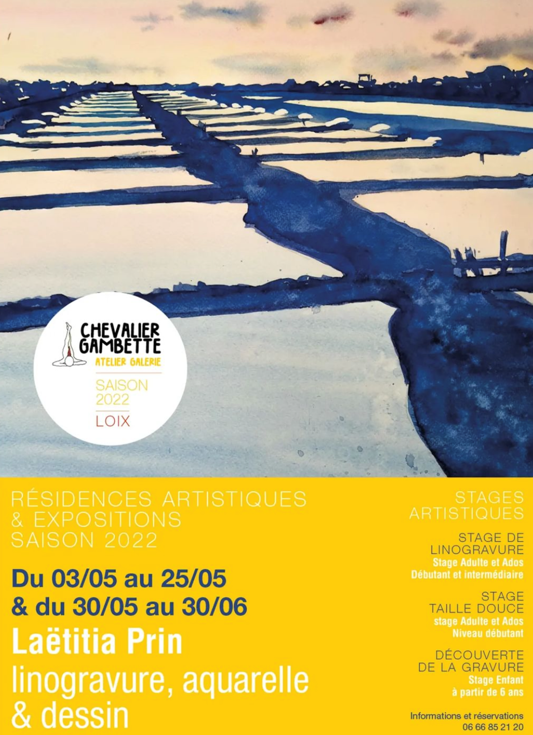 Chevalier Gambette brunch-ile-de-re