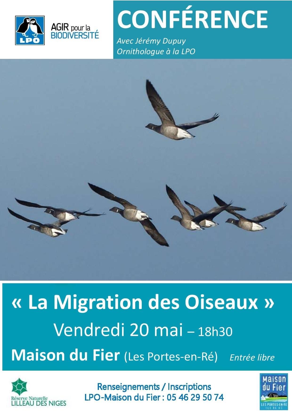 La Migration des Oiseaux brunch-ile-de-re