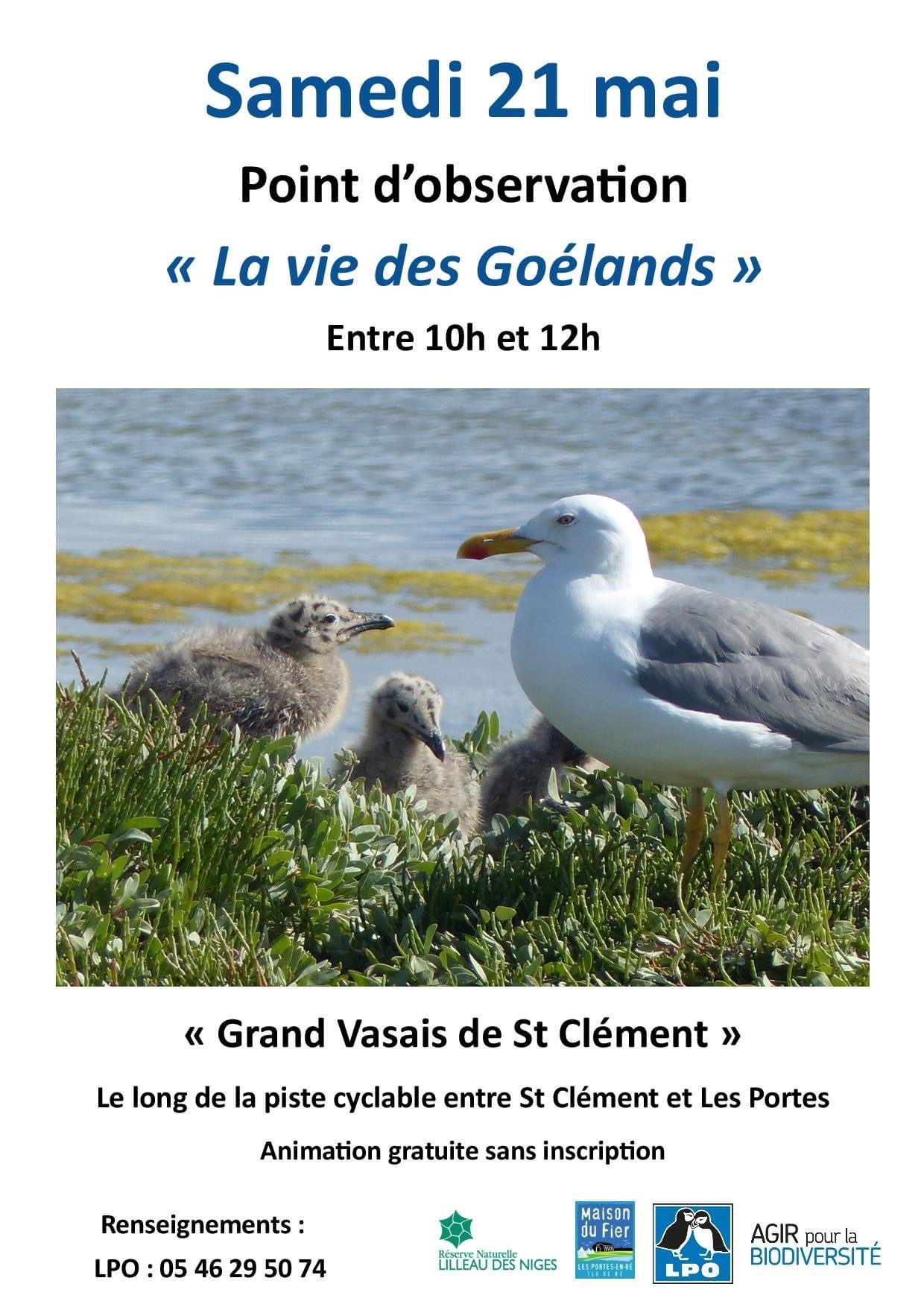 La Vie des Goélands brunch-ile-de-re