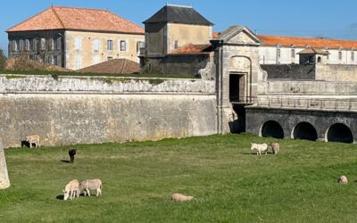 Les fortifications de Vauban