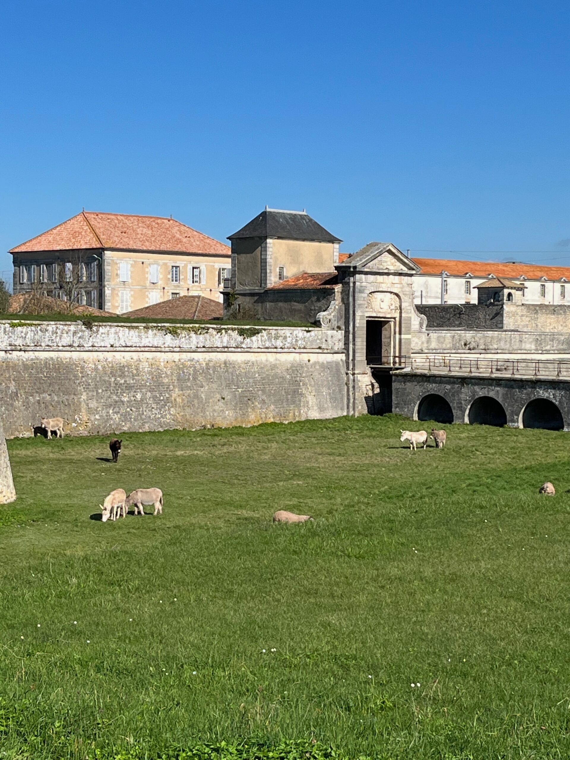 Fortifications Vauban