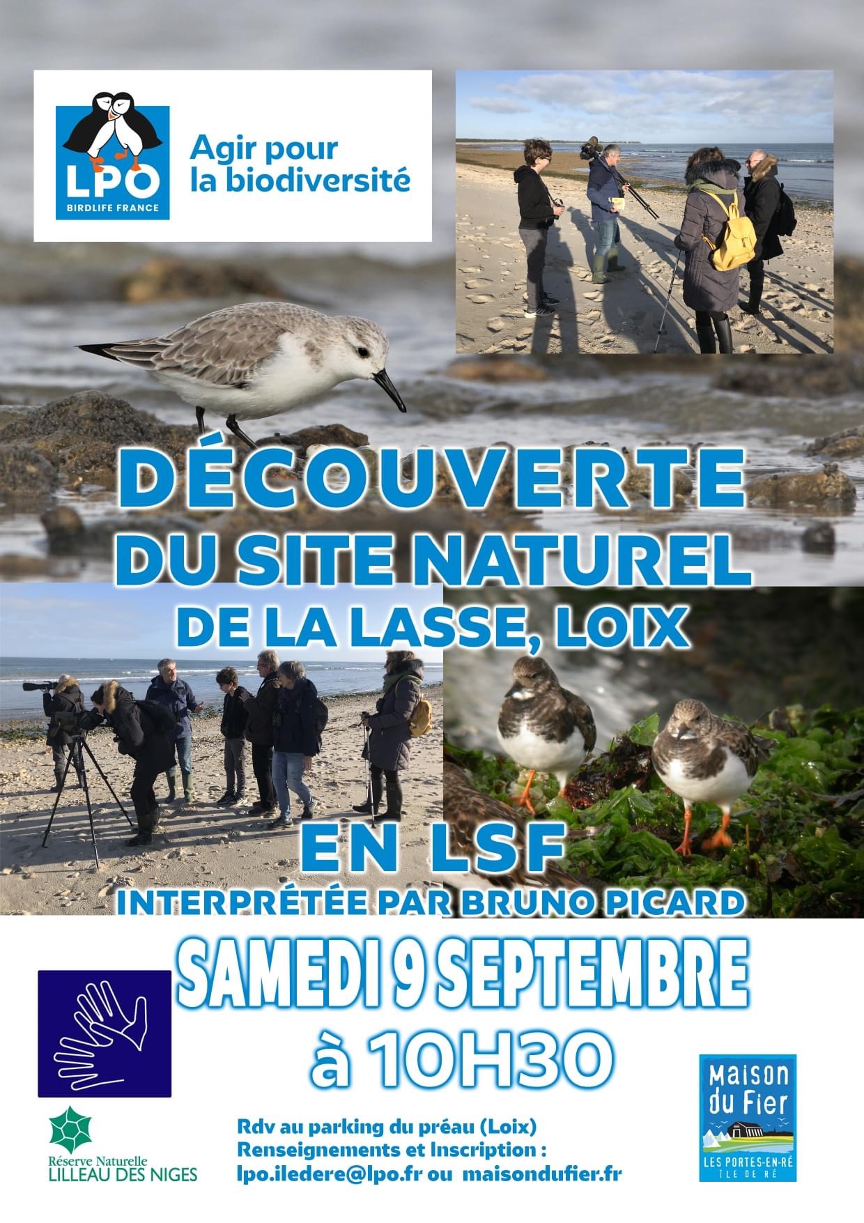 Découverte du site naturel de la lasse brunch-ile-de-re