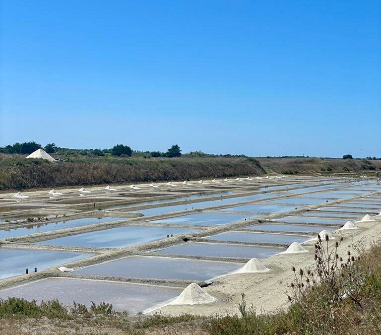 Le premier festival Fleur de sel ! 