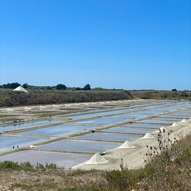 Festival fleur de sel