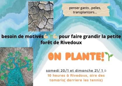 On Plante brunch-ile-de-re