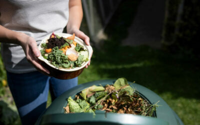 Composter pour bien démarrer l’année ! 