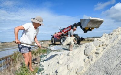 Le sel est rentré ! Et pas qu’un peu…