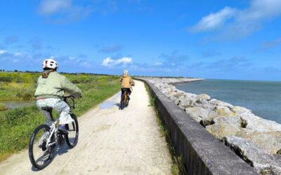 Mai à vélo : pédaler, c’est gagné… sur l’île de Ré !