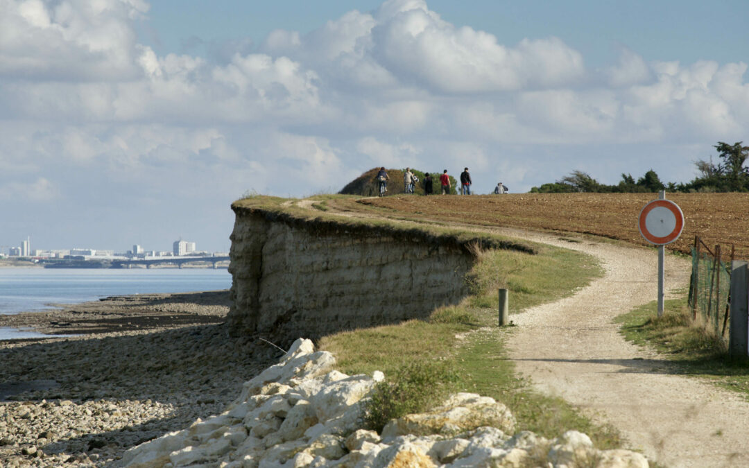 Comment l’île de Ré compte tenir tête à Dame Nature
