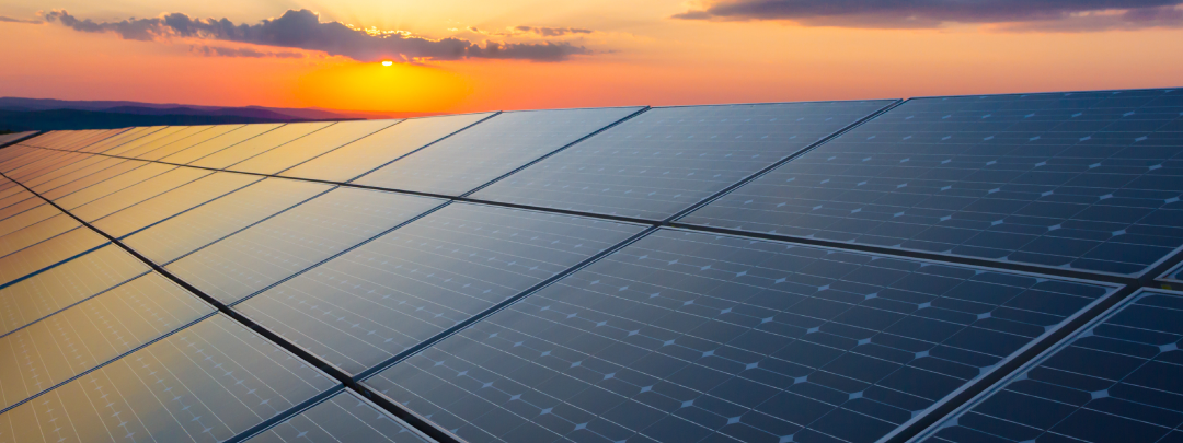 Panneaux solaires sur l’île de Ré : qui brille le plus ?